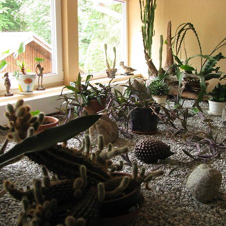 Asmonienes Sveciu Namai "Senoji Mokyklele" Hotel Smalininkai Luaran gambar